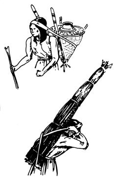 Els indis subjecten les c�rregues amb el cap